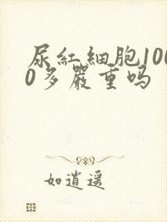 尿红细胞1000多严重吗