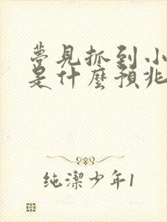 梦见抓到小兔子是什么预兆