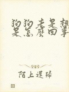 狗狗老是想喝水是怎么回事