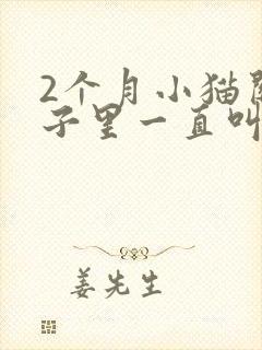 2个月小猫关笼子里一直叫