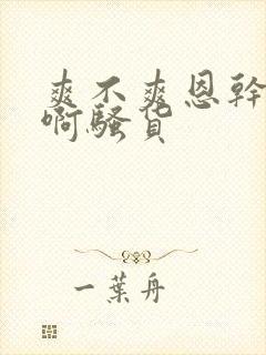 爽不爽恩干死你啊骚货