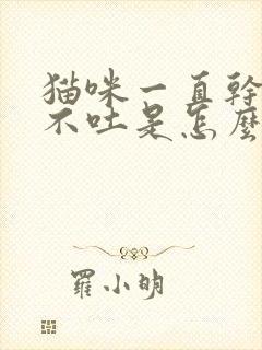 猫咪一直干呕却不吐是怎么回事