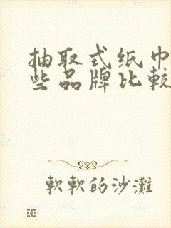 抽取式纸巾有哪些品牌比较好