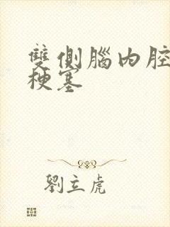 双侧脑内腔隙性梗塞