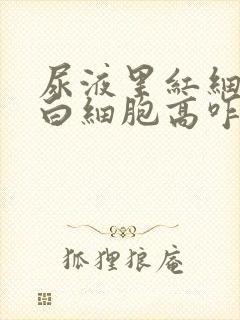 尿液里红细胞和白细胞高咋回事