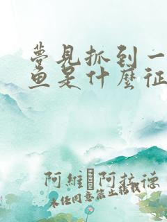 梦见抓到一条大鱼是什么征兆