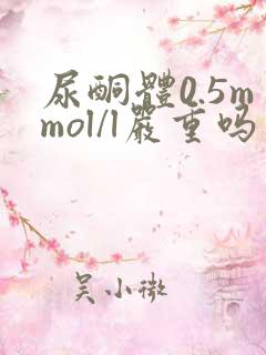 尿酮体0.5mmol/l严重吗