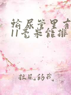 输尿管里有结石11毫米能排出吗