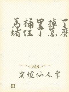 马桶里掉了纸巾堵住了怎么办