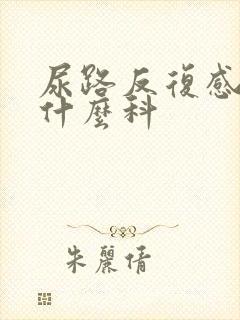 尿路反复感染看什么科