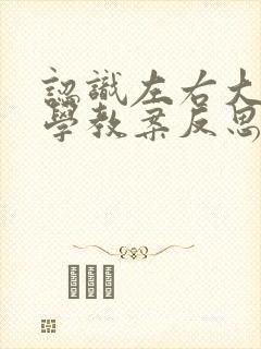 认识左右大班数学教案反思