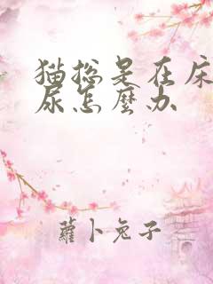 猫总是在床上拉尿怎么办