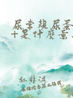 尿常规尿蛋白++是什么意思