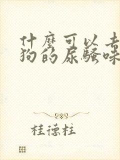 什么可以去除狗狗的尿骚味