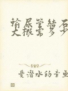 输尿管结石手术大概需多少钱