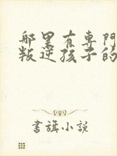 哪里有专门教育叛逆孩子的学校