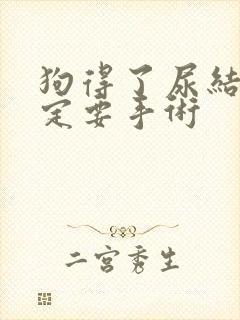 狗得了尿结石一定要手术