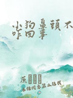 小狗鼻头不黑了咋回事