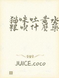 猫咪吐黄水吐猫粮吃什么药