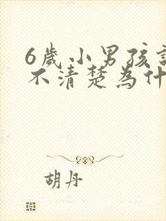 6岁小男孩说话不清楚为什么