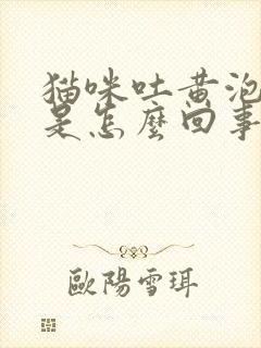 猫咪吐黄泡沫水是怎么回事