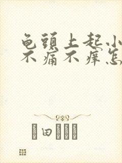 龟头上起小红点不痛不痒怎么治疗