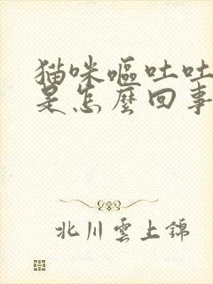 猫咪呕吐吐黄水是怎么回事