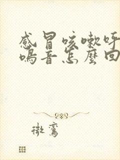 感冒咳嗽呼吸有鸣音怎么回事