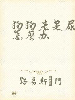 狗狗老是尿窝里怎么办