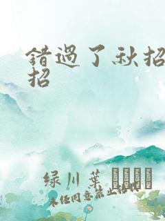 错过了秋招和春招