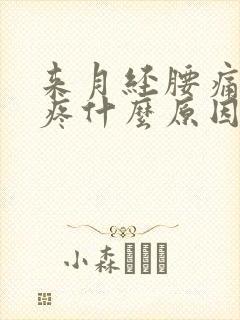 来月经腰痛肚子疼什么原因造成的