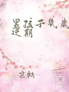 男孩子几岁是叛逆期