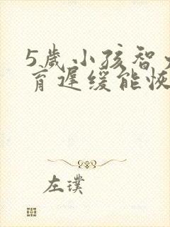 5岁小孩智力发育迟缓能恢复正常吗