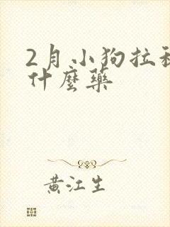 2月小狗拉稀吃什么药