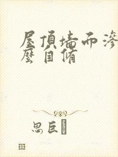 屋顶墙面渗水怎么自修