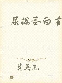 尿总蛋白有点高