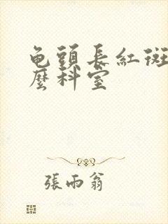 龟头长红斑挂什么科室