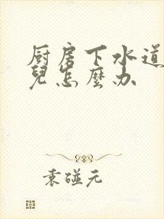 厨房下水道反味儿怎么办