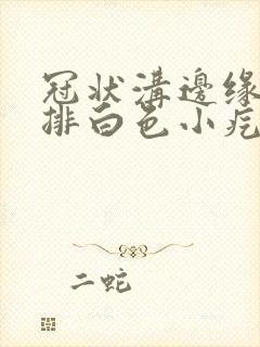 冠状沟边缘有一排白色小疙瘩