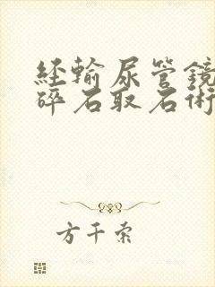 经输尿管镜激光碎石取石术