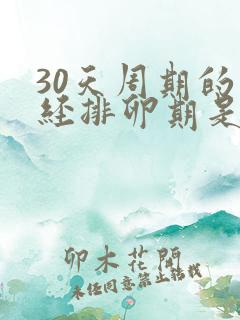 30天周期的月经排卵期是哪一天开始