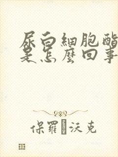 尿白细胞酯酶高是怎么回事