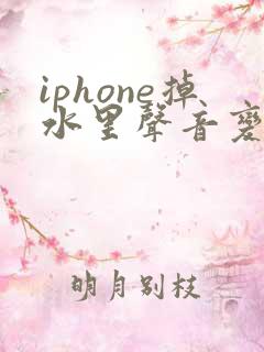 iphone掉水里声音变小