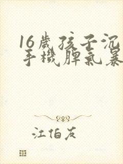 16岁孩子沉迷手机脾气暴躁