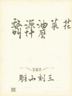 婺源油菜花景点叫什么