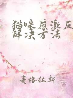 猫咪应激反应的解决方法