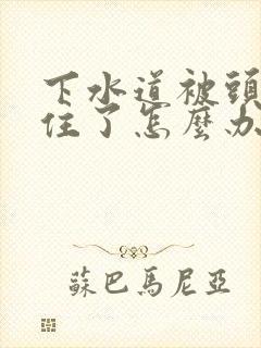 下水道被头发堵住了怎么办