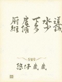 厨房下水道漏水维修多少钱