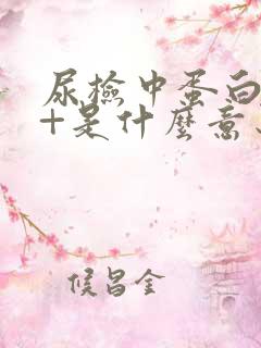 尿检中蛋白质3+是什么意思