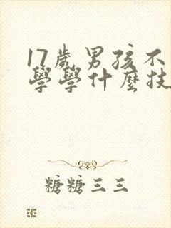 17岁男孩不上学学什么技术